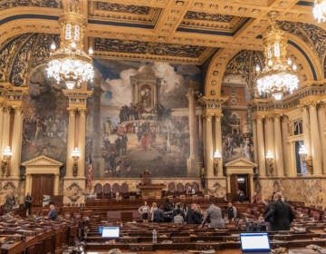 The state house floor inside the Capital building in Harrisburg, Pa. (Kimberly Paynter/WHYY)
