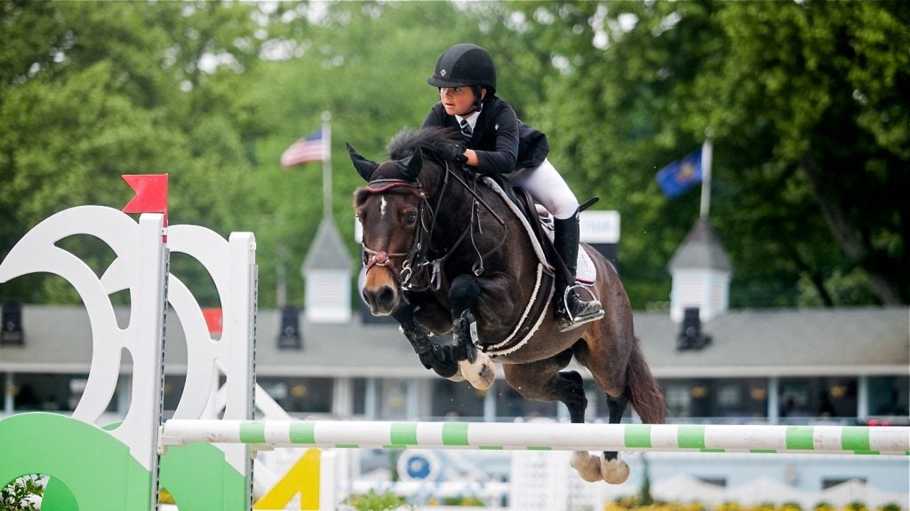 A horse jumping over hurdles